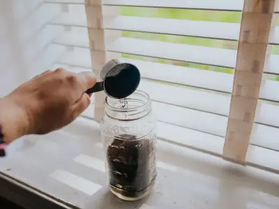 Welsh Households Urged to Use Coffee Grounds on Windowsills to Repel Pests