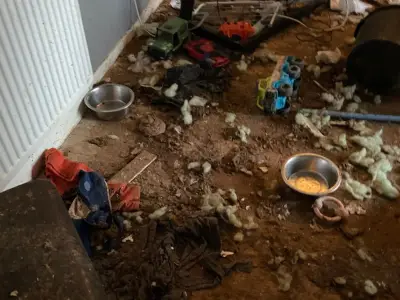 West Lothian man banned from owning animals after keeping dogs in squalor