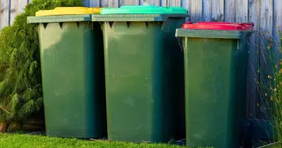 Wheelie Bins Stay Fresh with Soda Crystals: Queen of Clean Tip