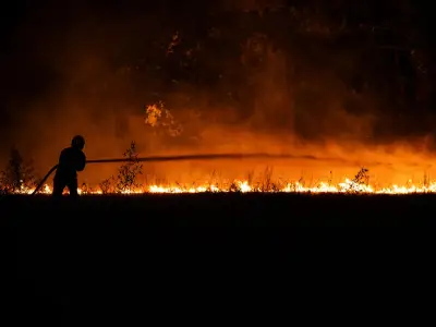 Wildfires Ravage Cap Ferret Peninsula, Hundreds Evacuated by Boat