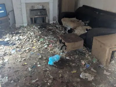 Woman banned from keeping animals after dogs found in filthy home