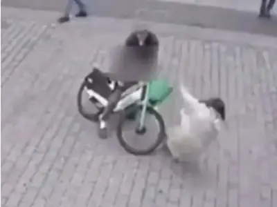 Woman Hit by 10-Year-Old on E-Bike Suffers Spinal Fractures, Relearns Walking
