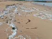 1 Billion Nurdles Spill on North East Coast After Port of Tyne Collision