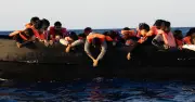 12 migrants caught driving through Europe in rental and stolen cars