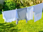 12pm Laundry Rule Helps Reduce Pollen on Summer Clothes