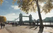 15,000 Steps a Day: 10 Walking Products That Changed Everything