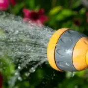 16 million more people under hosepipe ban in London and south east