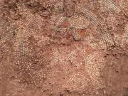 1,600-Year-Old Roman Villa with Rare Mosaic Found in Devon