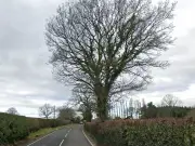 18-Year-Old Dies, Two Teens Injured in Cheshire Car Crash into Tree