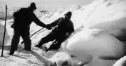 1931 Hollywood Explosion Killed 27 Actors and a Dog Named Cabot on Set of The Viking