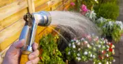20 million Britons face hosepipe bans as eighth water firm imposes restrictions