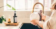 £2.50 Scrub Mummy Sponge Transforms Washing-Up Routine