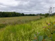 282 Homes Approved on Former Greenbelt Despite 2,500 Objections