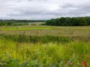 282 Homes Plan Near RHS Bridgewater Sparks 2,584 Objections