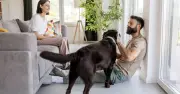 3 Unmistakable Signs Your Dog Has Chosen You as Favourite