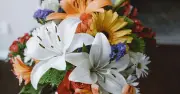 30-minute revival tip for wilting flowers in summer heat