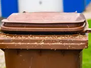 35p Ingredient Keeps Maggots and Flies Out of Wheelie Bins