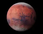 50 Years After Viking, Did NASA Overlook Evidence of Life on Mars?