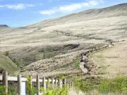 68-Year-Old Man Dies in SAS-Style Fan Dance Endurance Event in Brecon Beacons