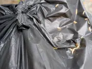 80p salt hack to stop maggots in food waste bins this summer