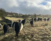 A Moving Account of Farming's Downsides: New Book Exposes Hidden Costs