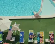 A Place in the Sun Review: Subversive Documentary Exposes Canary Islands' Dark Side