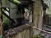 Abandoned Penscynor Wildlife Park Closed Forever After 27 Years
