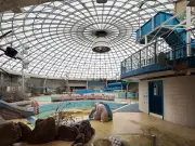 Abandoned UK Water Park Oasis in Swindon Left to Rot With Decaying Slides