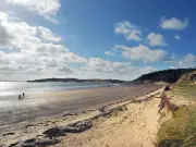 Adder Warning Issued for Three of Anglesey's Busiest Beaches