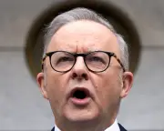 AI May Be Albanese's Toughest Challenge; Guardrails Urgently Needed