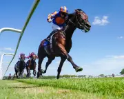 Aidan O'Brien Hails City Of Troy As Best Horse He's Trained