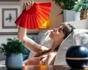 Air Conditioning Scams: Fake Aldi Sites Target Heatwave Shoppers