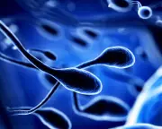 Air Pollution Linked to DNA Changes in Sperm, Study Shows
