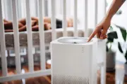 Air Purifiers and Wildfire Smoke: What You Need to Know