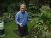 Alan Titchmarsh Reveals Go-To Plant to Enhance Your Garden This Summer