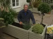 Alan Titchmarsh Shares Must-Grow Plant That Will 'Flower Its Socks Off' This Summer