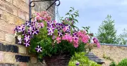 Alan Titchmarsh's Secret to Full Hanging Baskets All Summer Long