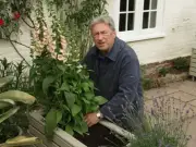 Alan Titchmarsh's Top Summer Plant: Verbena Bonariensis 'Flowers Its Socks Off'