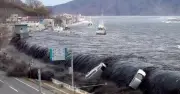 Alaska Mega-Tsunami Strips Island of Life, Scientists Warn of Rising Risk