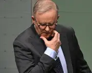 Albanese's 'shag, marry, date' gaffe highlights social media risks for politicians