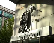 Alleged rape victim could have done better if lying, court told