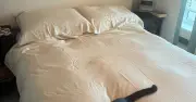 Amazon Cooling Duvet Cover Improves Sleep, Now on Sale