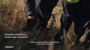Amazon funds massive tree planting in South Africa twice size of Birmingham