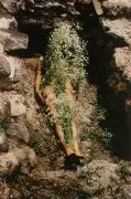 Ana Mendieta at Tate Modern: A Triumphant Tribute to a Neglected Visionary