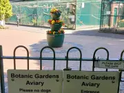 Anger Over Closure of Churchtown Botanic Gardens Aviary