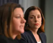 Anika Wells slams Barnaby Joyce, Angus Taylor over China-Telstra outage link