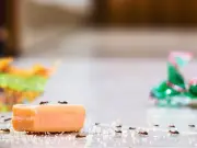 Ants Flee Homes with £1 Cinnamon Near Windows and Doors