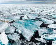 Arctic Sea Ice Decline Accelerates After Temporary Slowdown
