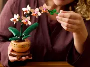 Argos Offers LEGO Orchid Set for £1.84 via TopCashback Deal