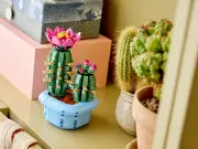 Argos Shoppers Race for £2.84 LEGO Cactus as Perfect Plant Alternative